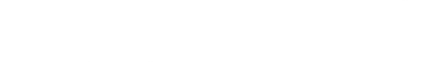 Visionary Ventures Logo White